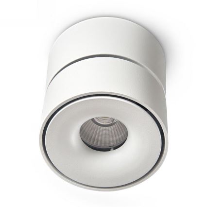 LED Димируем спот LAHTI LED/10,5W/230V 3000K CRI 90 бял