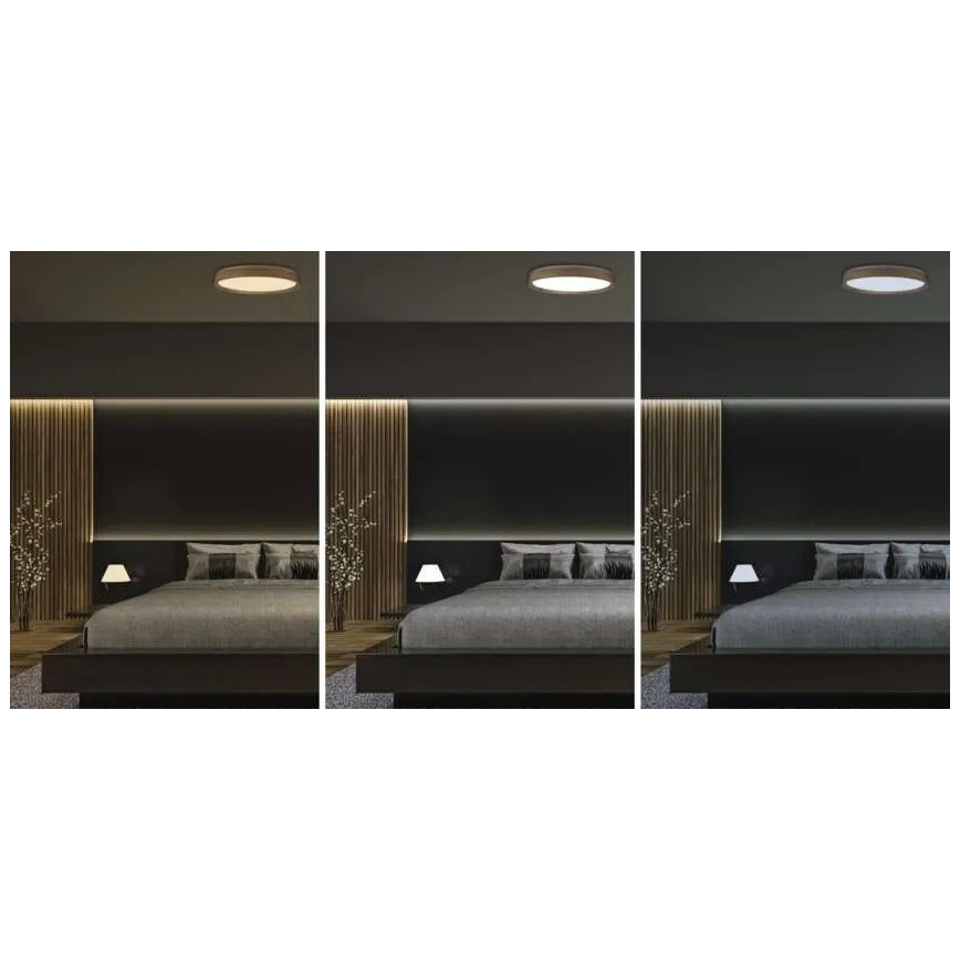 Димируемо LED таванно осветително тяло ILVI LED/45W/230V 2700-6500K диаметър 50 см дървесен декор + дистанционно управление