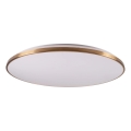 LED димируем таванен плафон KERN LED/80W/230V 3000/4000/6000K Ø 80 см златен + дистанционно управление