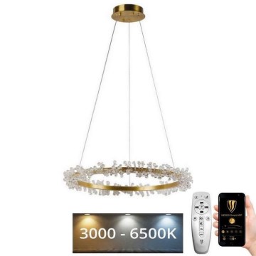 LED Димируем кристален полилей на връв LED/40W/230V 3000-6500K златист + дистанционно управление