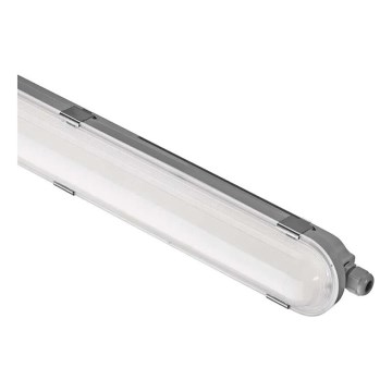 LED Димируема индустриална лампа MISTY LED/21/26/31/35W/230V 6500K IP66