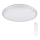 LED Димируема лампа IRINA LED/48W/230V с дистанционно