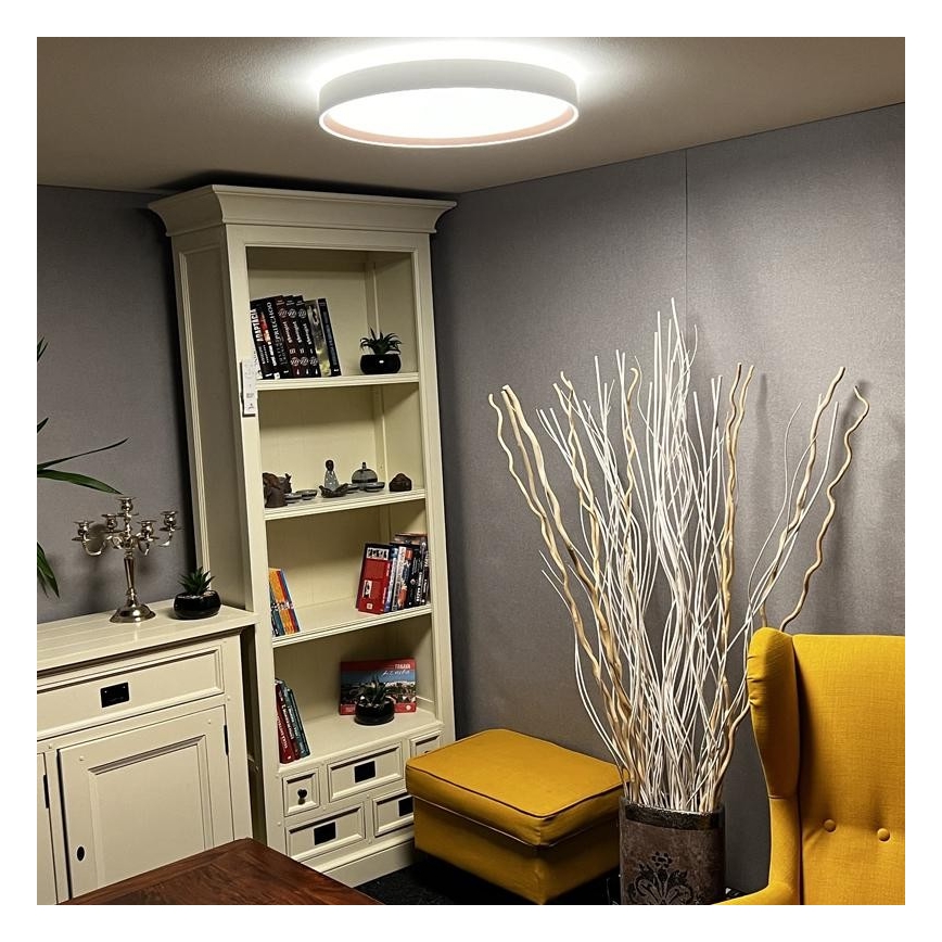 LED Димируема лампа LED/48W/230V 2700-6500K Wi-Fi Tuya + дистанционно