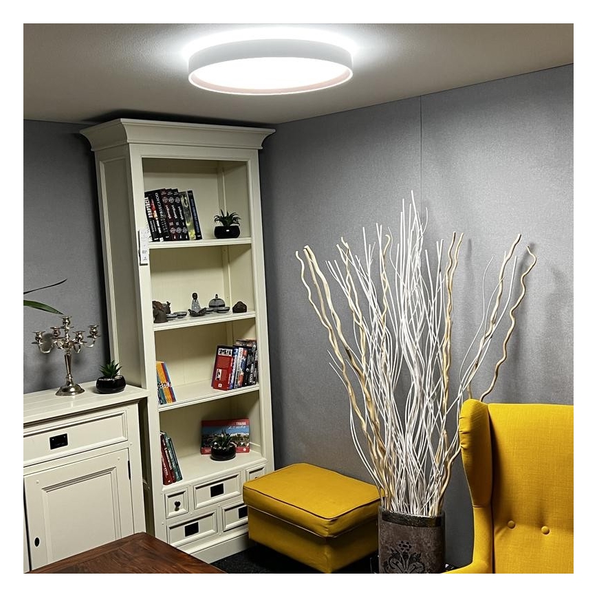 LED Димируема лампа LED/48W/230V 2700-6500K Wi-Fi Tuya + дистанционно