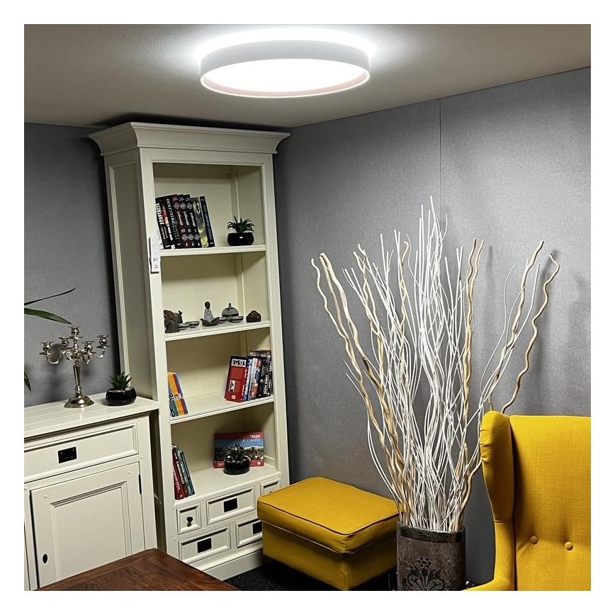 LED Димируема лампа LED/48W/230V 2700-6500K Wi-Fi Tuya + дистанционно