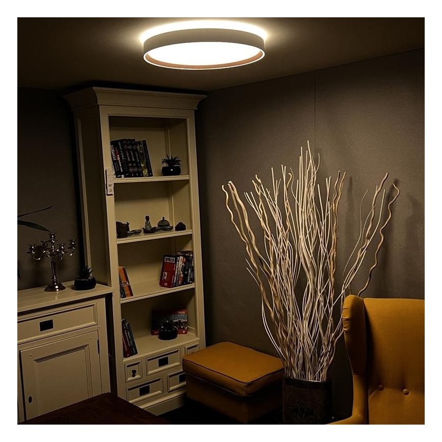 LED Димируема лампа LED/48W/230V 2700-6500K Wi-Fi Tuya + дистанционно