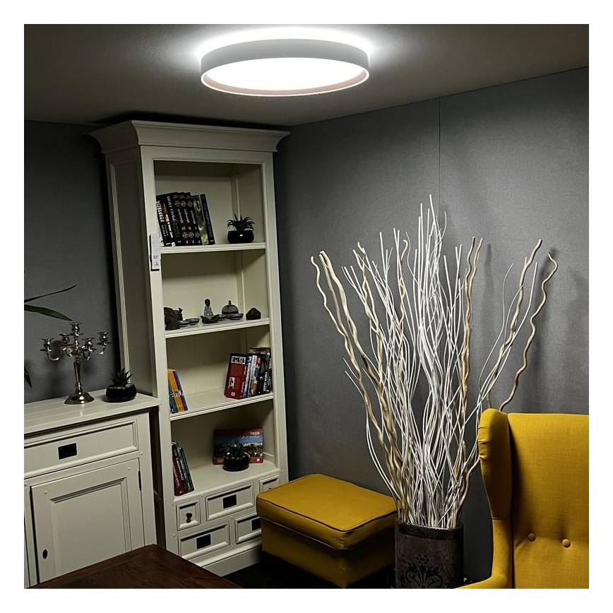 LED Димируема лампа LED/48W/230V 2700-6500K Wi-Fi Tuya + дистанционно