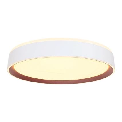 LED Димируема лампа LED/48W/230V 2700-6500K Wi-Fi Tuya + дистанционно