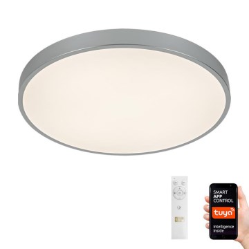 LED Димируема лампа LED/48W/230V 2700-6500K Wi-Fi Tuya + дистанционно