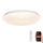 LED Димируема лампа LED/48W/230V 2700-6500K Wi-Fi Tuya + дистанционно