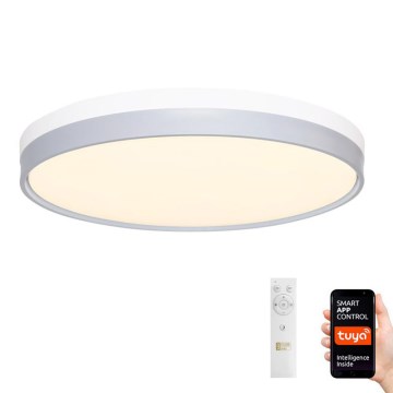 LED Димируема лампа LED/48W/230V 2700-6500K Wi-Fi Tuya + дистанционно
