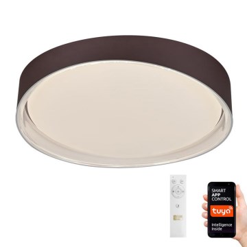 LED Димируема лампа LED/48W/230V 2700-6500K Wi-Fi Tuya + дистанционно