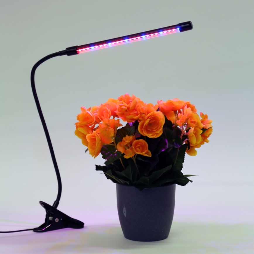 LED Димируема лампа с щипка за осветление на растения LED/3W/230V черен