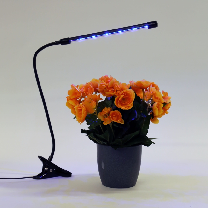 LED Димируема лампа с щипка за осветление на растения LED/3W/230V черен
