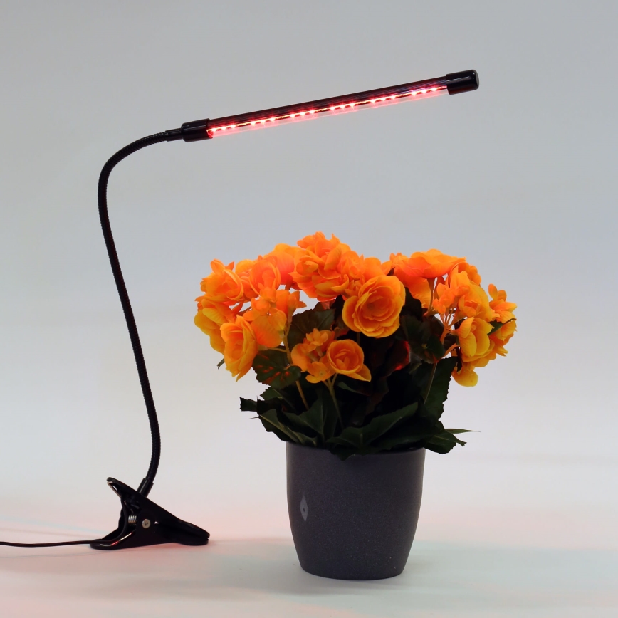 LED Димируема лампа с щипка за осветление на растения LED/3W/230V черен