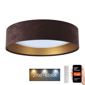 LED Димируема лампа SMART GALAXY LED/24W/230V Ø 45 см Wi-Fi Tuya + дистанционно управление