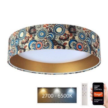 LED Димируема лампа SMART GALAXY LED/24W/230V Ø 45 см Wi-Fi Tuya + дистанционно управление