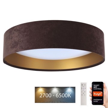 LED Димируема лампа SMART GALAXY LED/36W/230V Ø 55 см Wi-Fi Tuya + дистанционно управление