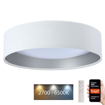 LED Димируема лампа SMART GALAXY LED/36W/230V Ø 55 см Wi-Fi Tuya + дистанционно управление