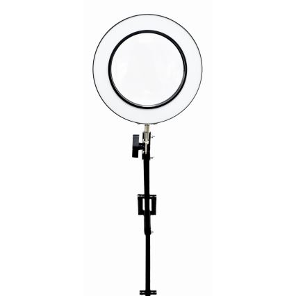 LED Димируема настолна лампа с лупа LED/10W/230V 3000/4500/6000K