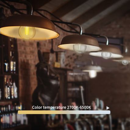 LED Димируема крушка FILAMENT G45 E14/4,5W/230V 2700-6500K Wi-Fi - Aigostar
