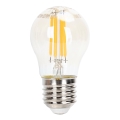 LED Димируема крушка FILAMENT G45 E27/4W/230V 2200K - Aigostar