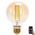 LED Димируема крушка FILAMENT MESH Smart G80 E27/6W/230V 2700-6500K - Aigostar