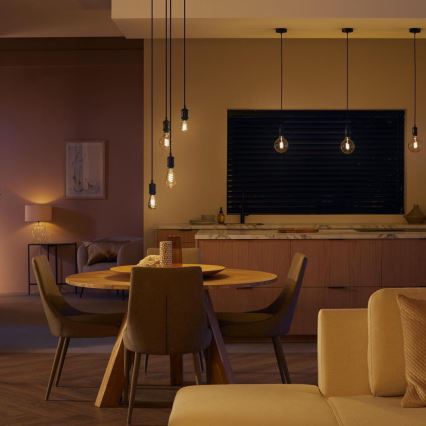 LED Димируема крушка Philips Hue WHITE AMBIANCE ST72 E27/7W/230V 2200-4500K