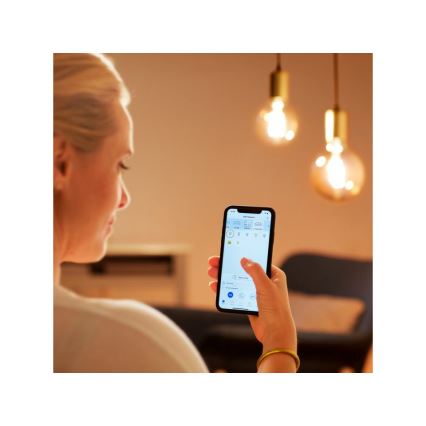 LED Димируема крушка VINTAGE FILAMENT G95 E27/6,7W/230V 2000-5000K CRI 90 Wi-Fi - WiZ