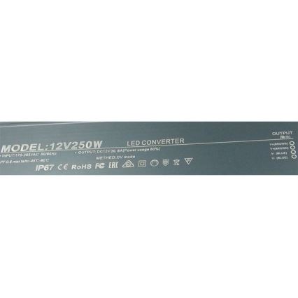 LED Електронен трансформатор 250W/12V IP67
