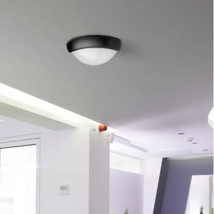 LED Екстериорана лампа LED/12W/230V IP54