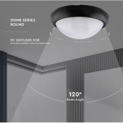 LED Екстериорана лампа LED/12W/230V IP54