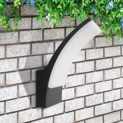 LED Екстериорен аплик AMY LED/12W/230V IP44 черен