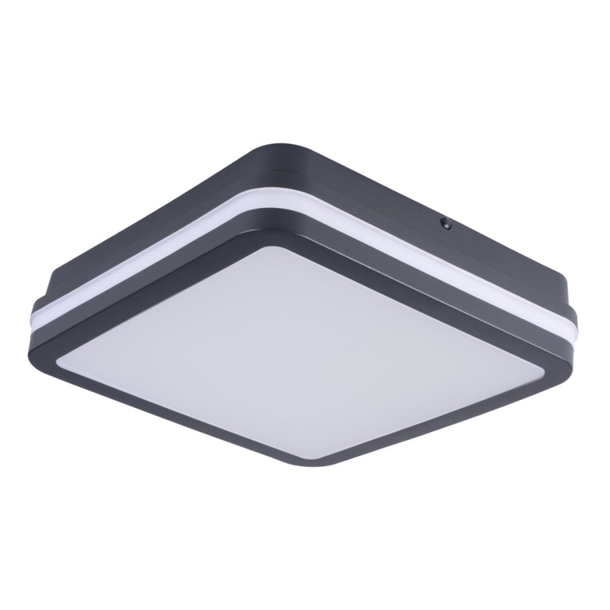 LED Екстериорен аплик BENO LED/18W/230V 4000K антрацит IP54