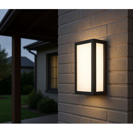 LED Екстериорен аплик ENTERA LED/10W/230V 4000K IP54