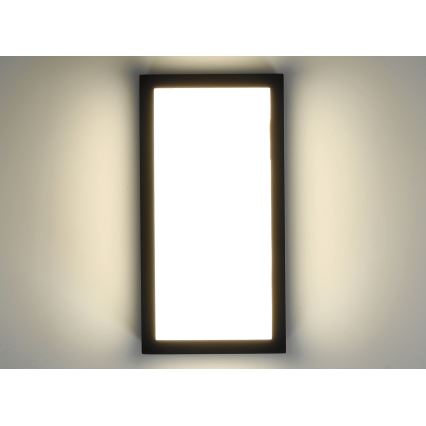 LED Екстериорен аплик ENTERA LED/10W/230V 4000K IP54