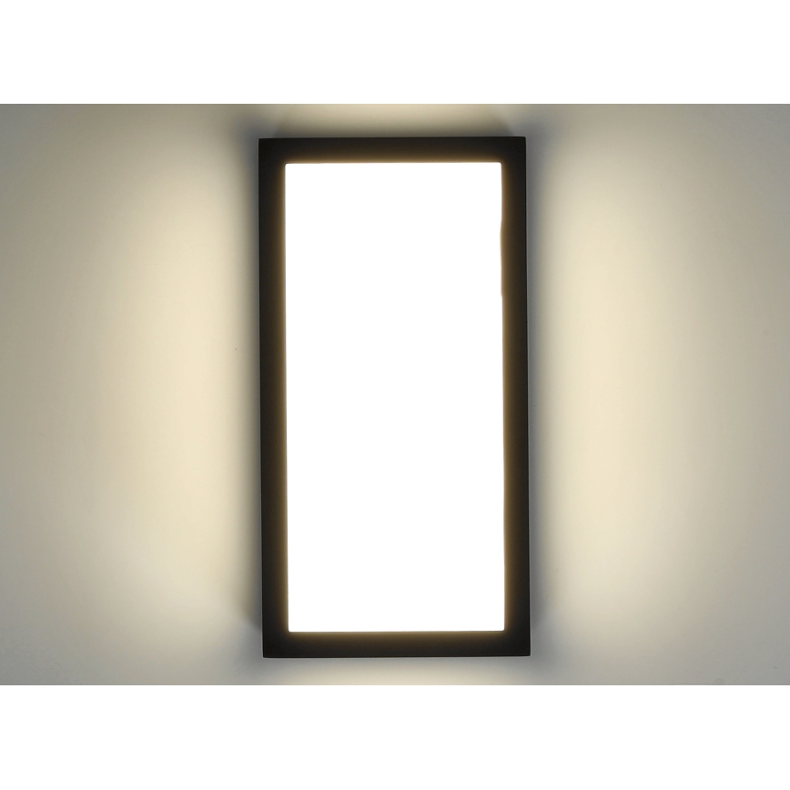LED Екстериорен аплик ENTERA LED/10W/230V 4000K IP54