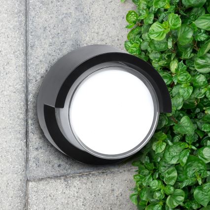 LED Екстериорен аплик ESSEN LED/10W/230V IP44 черен