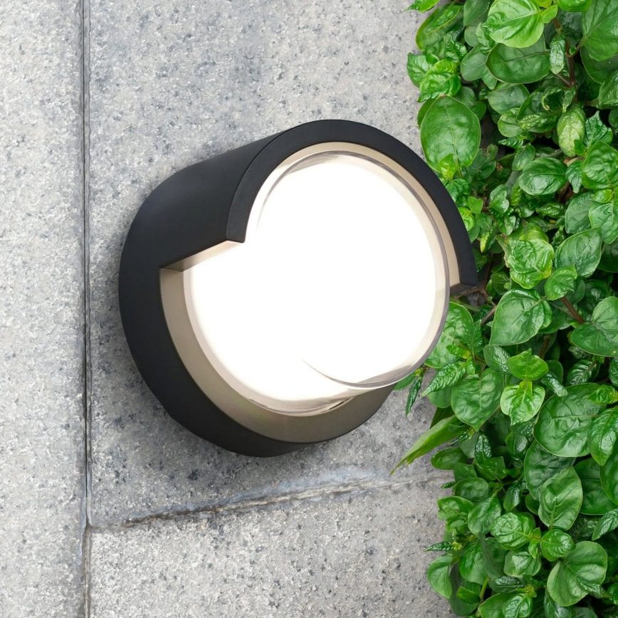 LED Екстериорен аплик ESSEN LED/10W/230V IP44 черен