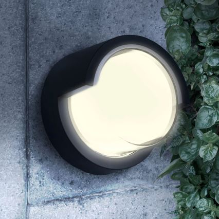 LED Екстериорен аплик ESSEN LED/10W/230V IP44 черен