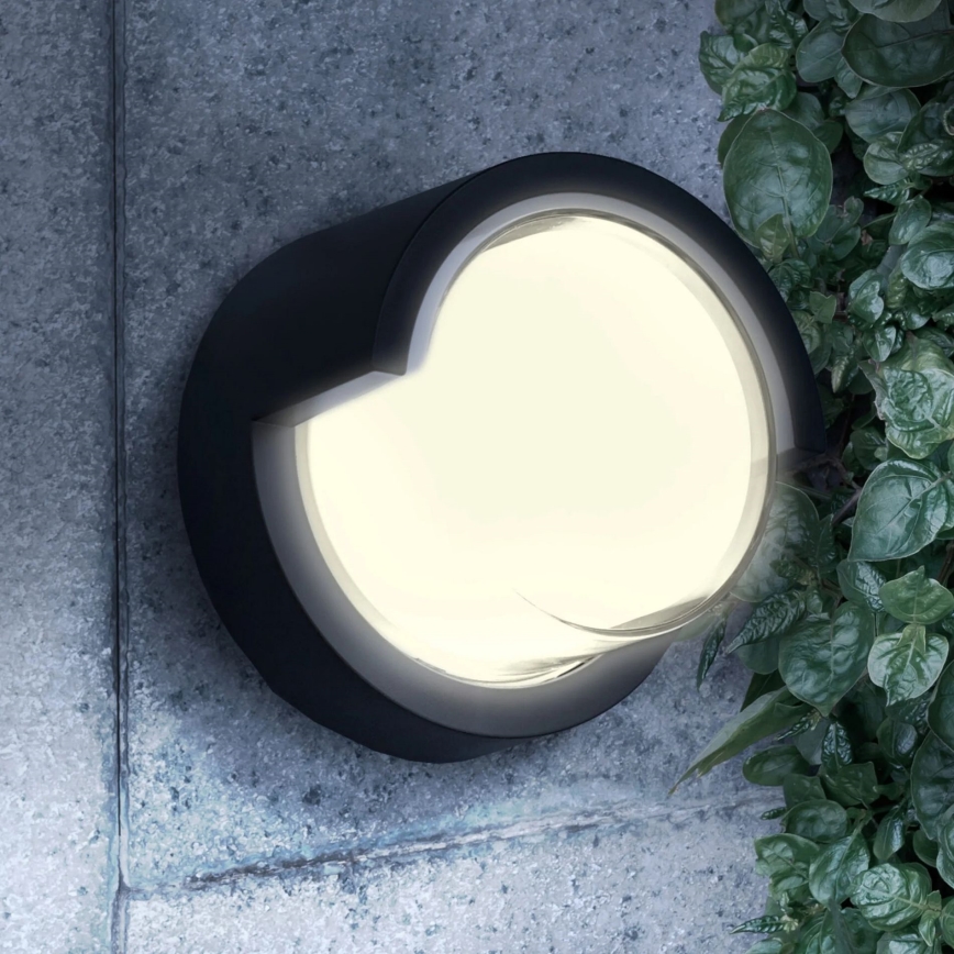 LED Екстериорен аплик ESSEN LED/10W/230V IP44 черен