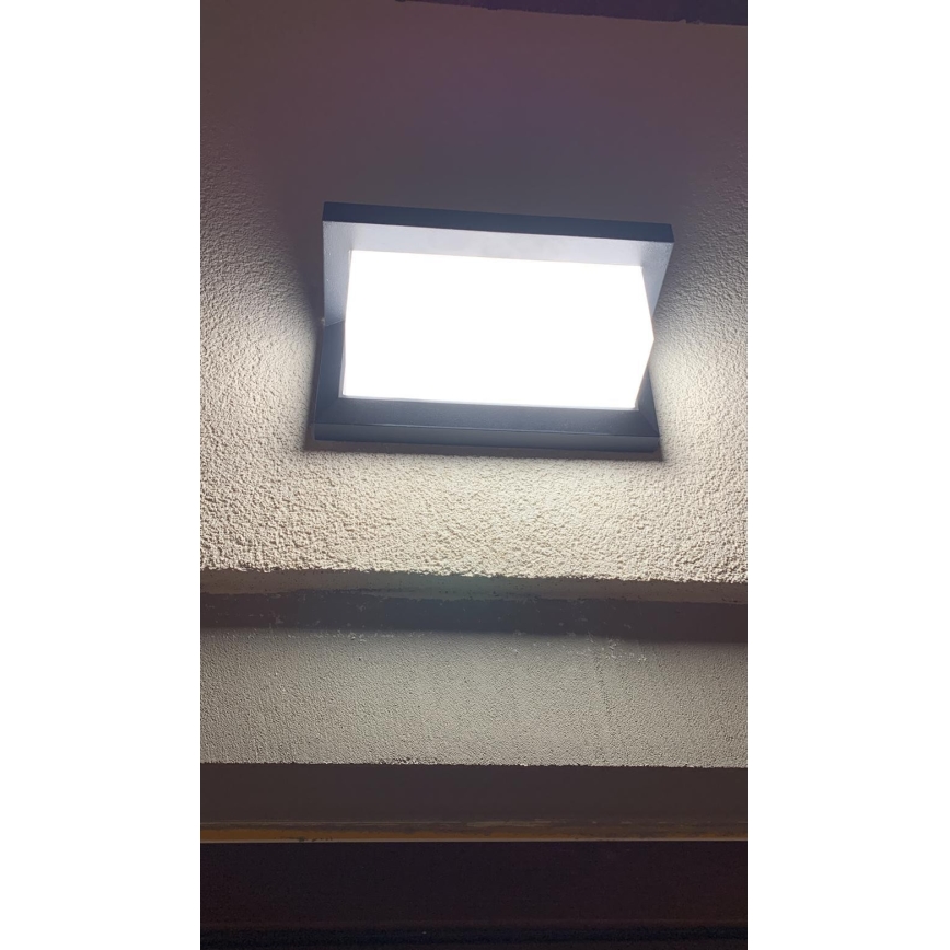 LED Екстериорен аплик LED/12W/230V IP54 черен