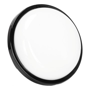 LED Екстериорен аплик LED/15W/230V 6500K Ø 15,5 см черен IP65