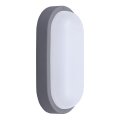 LED Екстериорен аплик LED/20W/230V 4000K IP54 сив овален