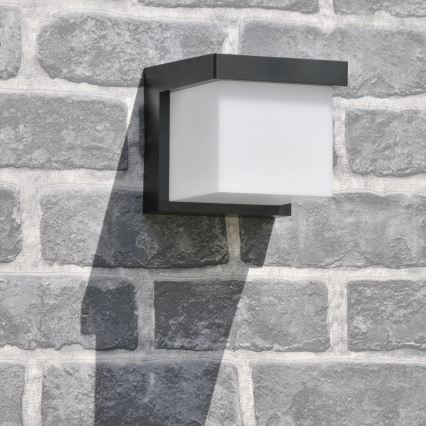 LED Екстериорен аплик MORGAN LED/10W/230V IP54