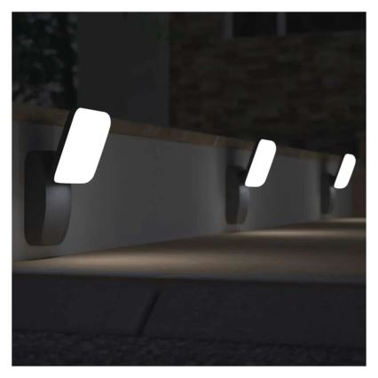 LED Екстериорен аплик NIKA LED/12,5W/230V IP44