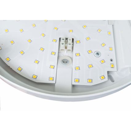 LED Екстериорен аплик със сензор HIBIS LED/15W/230V IP44