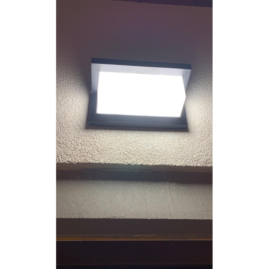 LED Екстериорен аплик със сензор LED/12W/230V IP54 черен