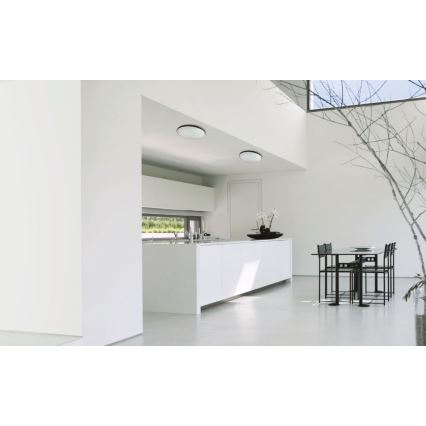 LED Екстериорен плафон NYMPHEA LED/32W/230V IP54 6000K