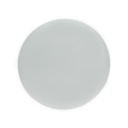 LED Екстериорен плафон NYMPHEA LED/32W/230V IP54 6000K